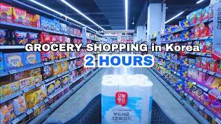 Grocery Shopping in Korea | 2 Hour Compilation | Grocery Food with Prices | Shopping in Korea