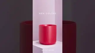 New Basics