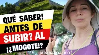 ¡¿Qué Saber Antes de SUBIR Al MOGOTE?!#plants #jarabacoa #nature🌲Recorriendo el Bosque! MOGOTE!!!