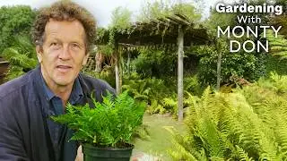 A Fern Fanatic's Secret Garden... 👀 | FULL EPISODE | S7 E14 | Gardeners' World