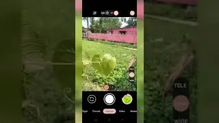LMC 8.4 Camara review#Shorts#ytshorts#viralshorts#trendingshorts#youtubeshort #subscribe #lmc8 #you