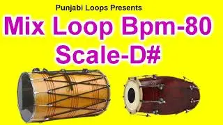 Mix Loop Bpm | 80 D# | Punjabi Loops