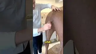 Он сделал гигантского шоколадного жирафа 😳