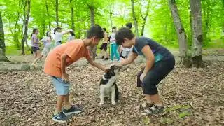 Forest Camp - Birinci g&uuml;n / Forest Camp - Первый день