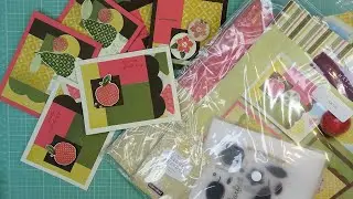 Bust it Out: Close to My Heart Workshops on the Go Kits! 6 Cards Done in One Sitting! Takes Work!