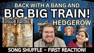 Big Big Train - Hedgerow || Jana’s First Reaction and Song REVIEW