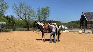 Drunken cowboy attempts to mount - 5/13/2023- REC 25395C8D F13B 41ED A3A1 81