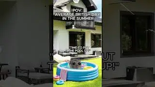Cat Memes POV Average British Day In The Summer #catmemes #catmeme