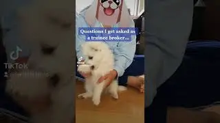 Questions I get asked as a trainee mortgage broker... Do I charge a fee?