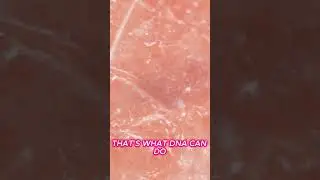 DNA Storage