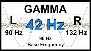 42 Hz Pure BINAURAL Beats ▶️ GAMMA Waves [90 Hz Base Frequency]
