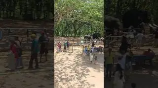 Gajanur tour #love
