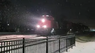 CN   M   397