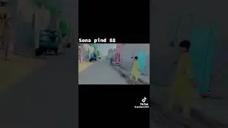 Mera Sohna Pind Chak 88 JB Fsd