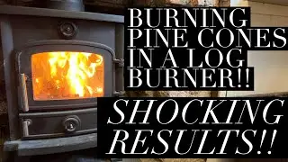 Burning Pine Cones In Your Fireplace , The Results Are Incredible!! , Free Fuel For Your Log Burner!