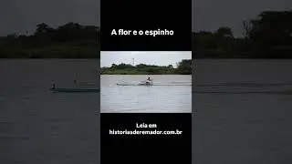 A flor e o espinho #historiasderemador