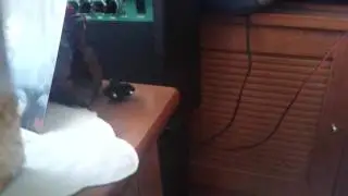 Sylvester tells Emiliane to shut up