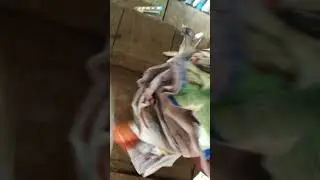 Naaptol Fraud