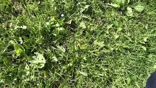 Touching Grass Day 2
