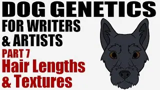 Dog Genetics for Writers & Artists part 7: Fur Lengths & Textures [CC]