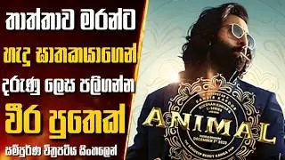 තාත්තාව මරන්ට හැදු ඝාතකයාගෙන් පලිගන්න වීර පුතෙක්😍 | Animal  Movie Sinhala Review 🎥| SL Cinemax🎬