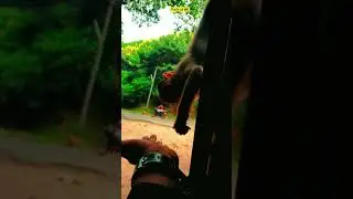 இதயம் என்பது சதை தான் என்றால் 🔥  எரிதழல் நின்று விடும்