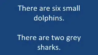 5 3 1 Dolphins and sharks