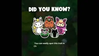 Introducing the mixed-type Chumbi🌟🐾   #chumbi #chumbivalley #gaming #rpg #web3 #crypto