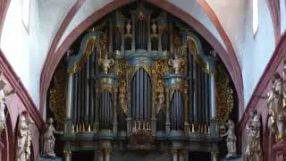 Die Onymusorgel der Basilika Ilbenstadt