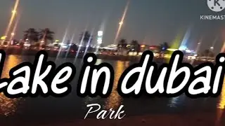 Lake in Dubai - albarsha park near Mall of Emirates / Dubai/ walking 