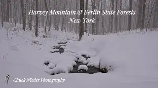Harvey Mountain & Berlin State Forests