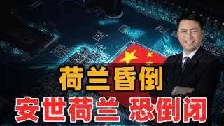 荷兰昏倒！安世荷兰恐倒闭