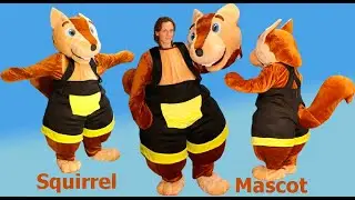 Squirrel mascot costume