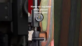 FX Dreamline GRS with DUAL Huma-Air REGULATED #shorts #airgun #precision