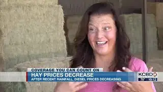 Hay prices decrease for South Plains ranchers