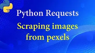 Scrape images from pexels by python requests（用requests爬取pexels免费高清图片）