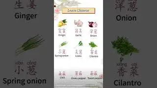 #learn Chinese vegetables vocabulary