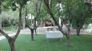 African Vineyard 1