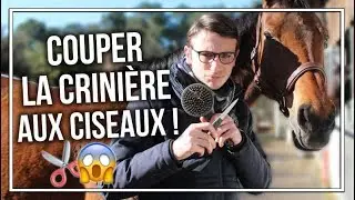 COUPER LA CRINIÈRE AUX CISEAUX ✂️