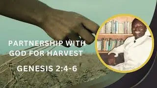 Partnership with God for harvest. Genesis 2:4-6 Pastor Innocent Ngozi Dimelu 