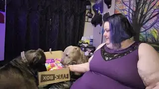 January 2023 Barkbox unboxing with Lola and Jr.