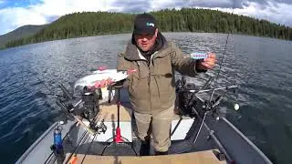 Sulphurous Lake, BC  - Kokanee and Lake Trout