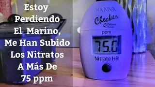 🔵 Estoy Perdiendo El Acuario Marino,Se Me Han Subido Los Nitratos A M&aacute;s De 75 ppm (Acuarios MB)