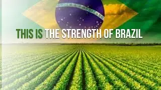 Brazilian Agribusiness A 20 Year Leap Equivalent to Argentinas GDP