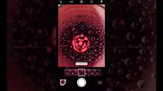 The Sharingan