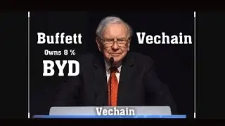 Vechain Partners BYD. Warren Buffett's Berkshire Hathaway owns an 8% stake in BYD. Vechain #1 2020