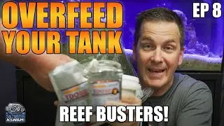 Massively OVERFEEDING Your Saltwater Tank - Reef Busters