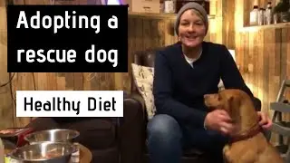 Adopting a Rescue Dog - A Healthy Diet