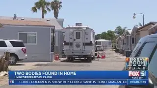 Child Finds Parents Dead Inside Home