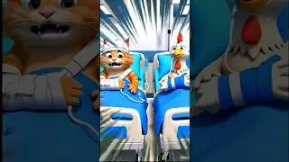 Orange cute cat funny video 😂 #shorts #youtubeshorts #funny #cat #trending